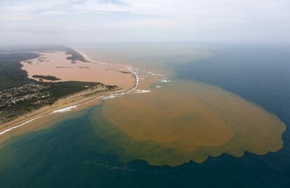 A onda de lama que percorreu cerca de 700 quilômetros, durante 17 dias, chegou à costa do Espírito Santos em uma área de proteção ambiental usada para desova de tartarugas-marinhas, incluindo a tartaruga-de-couro, uma espécie ameaçada de extinção.