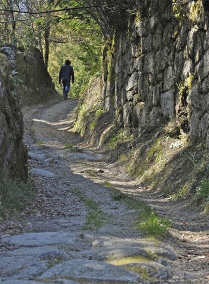 Un tramo del camino rescatado de O Ribeiro a Santiago.