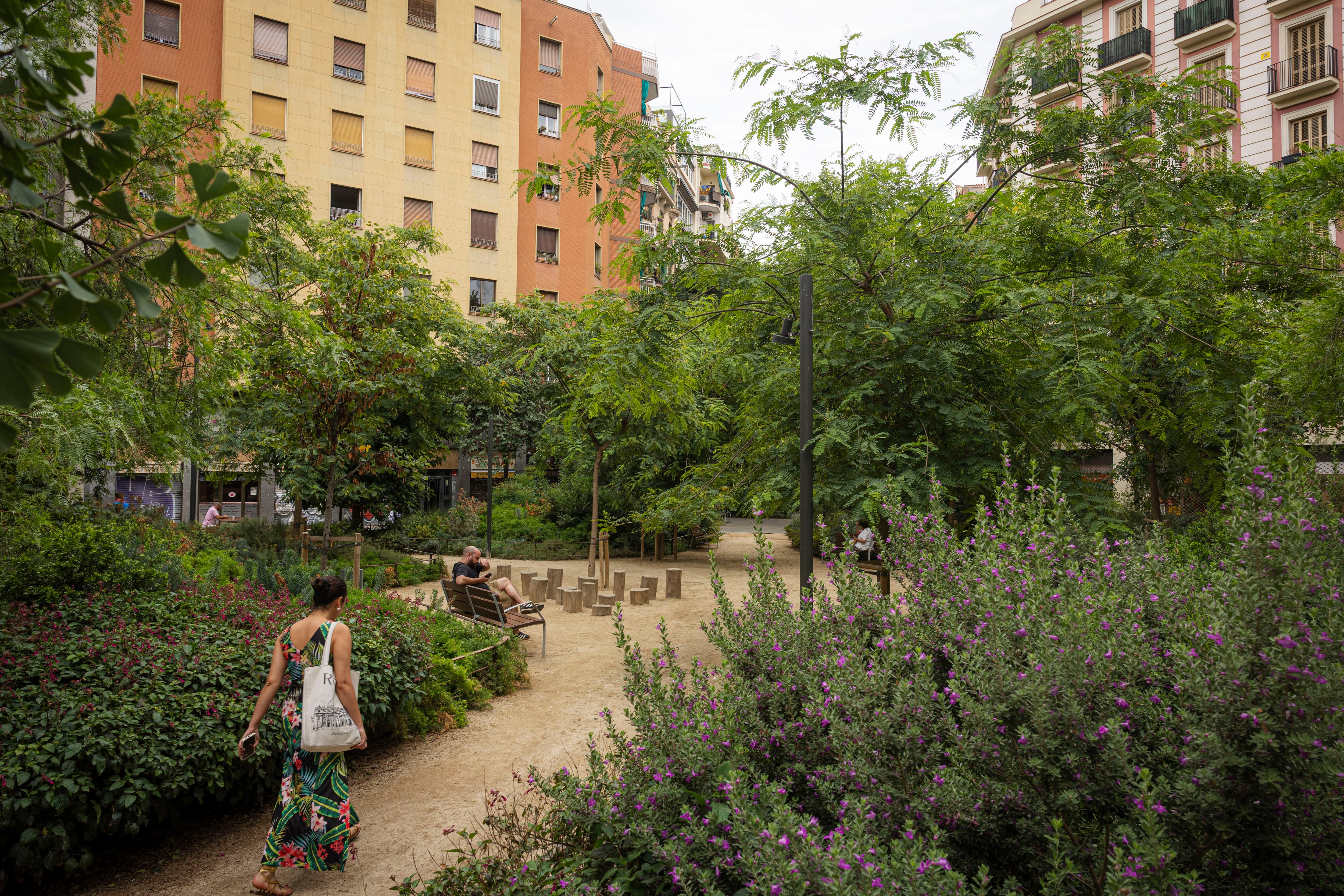 El nuevo eje verde de la calle Consell de Cent, en Barcelona, en espacio antes ocupado por los coches. 
