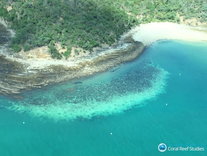 Gran Barrera de Coral de Australia