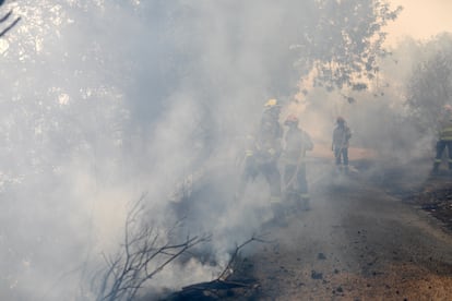 Bomberos participan en las labores de extinción del incendio en Xerta, este martes.