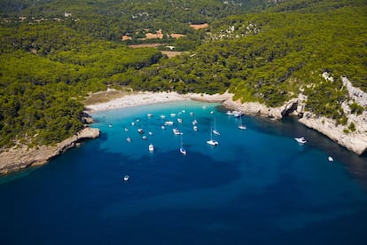 He aquí un ejemplo de cómo la movilización popular es capaz de salvar playas vírgenes de manos de los especuladores. La visita de esta playa es el broche de oro a una caminata de una hora de duración desde Cala Galdana pasando por Cala Mitjana y diversos pinares. Sortearemos la desembocadura de un torrente (quizá haya que mojarse), y enseguida 200 metros de naturaleza en estado puro rematada por una imponente pared calcárea. Nos quedamos con su invitación al baño sin tapujos, a merendar bajo los pinos en un marco bucólico de perdices y hasta de vacas y burros.