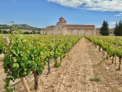 beyond the rows of grape vines, the 12th century valbuena abbey (monasterio de santa maría de valbuena) sits on the right bank of the river duero and was declared a national monument in 1931.