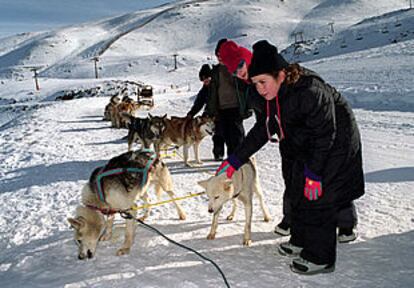 Unos niños acarician a los perros que tiran de los trineos en Sierra Nevada.