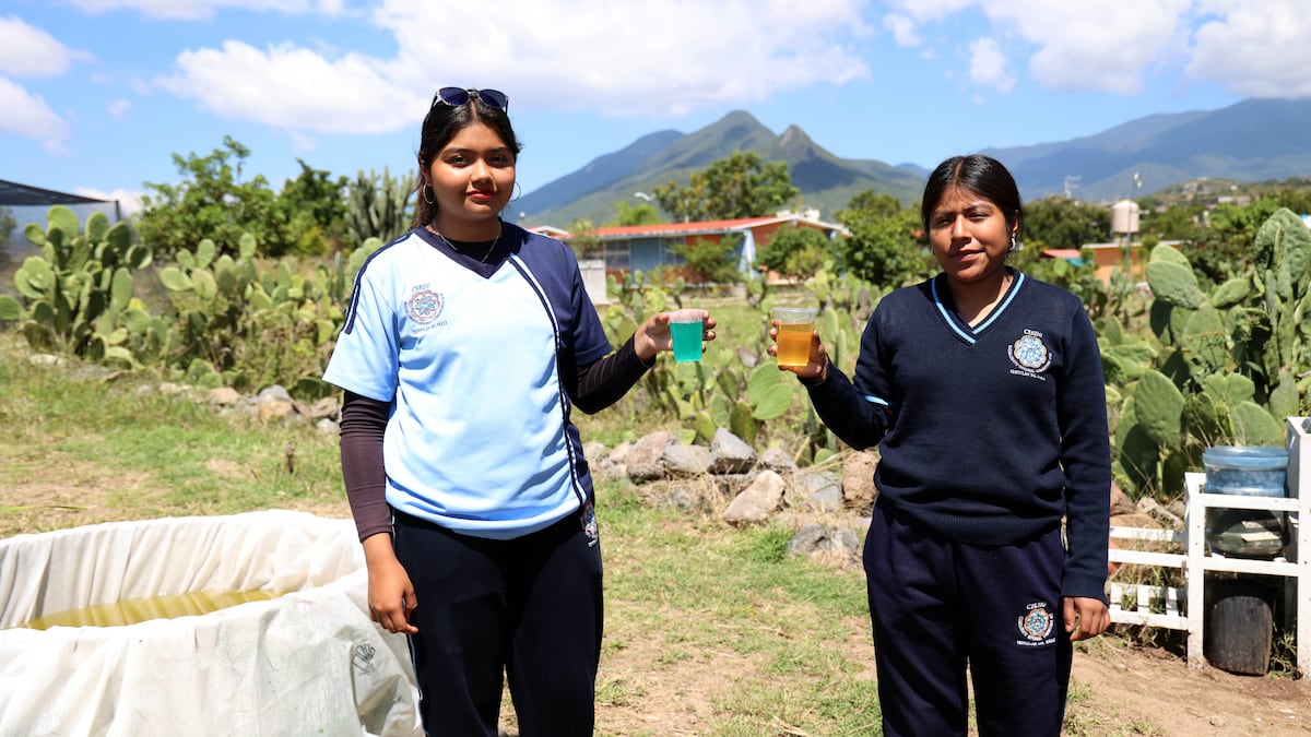 Las estudiantes indígenas mexicanas que ganaron un concurso mundial de soluciones sobre agua