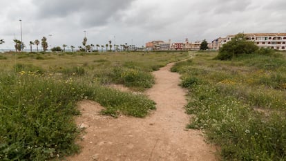 Las parcelas frente a la playa de los Náufragos, donde se proyecta levantar nueve rascacielos.