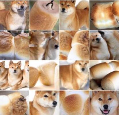 ¿Shiba Inu o marshmallow?