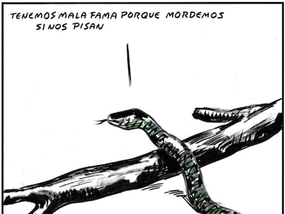 El Roto
