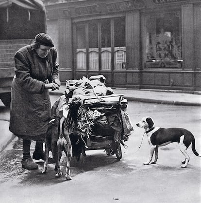 En los años cincuenta, París resurgía de los impactos de la guerra. La vida transcurría en las calles, en las plazas del mercado y en el interior de los numerosos burdeles.