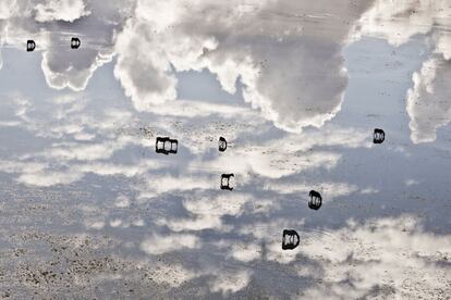 Caballos en Cielo. Caballos marismeños de que viven gran parte del año en las aguas someras de la marisma de Doñana.