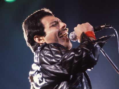 Freddie Mercury, em uma imagem de arquivo em um show.