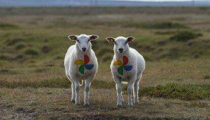 Encuentra imágenes parecidas en Google Fotos.