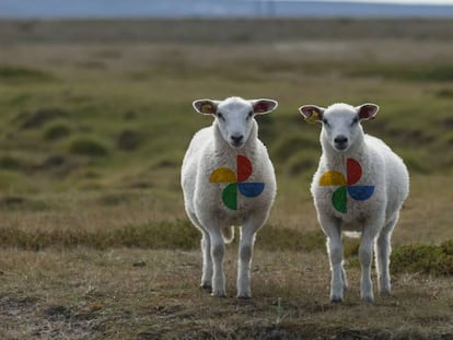 Encuentra imágenes parecidas en Google Fotos.