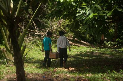 Dos niños caminan por la comunidad de San Miguel del Bala, cerca de las aulas del colegio.