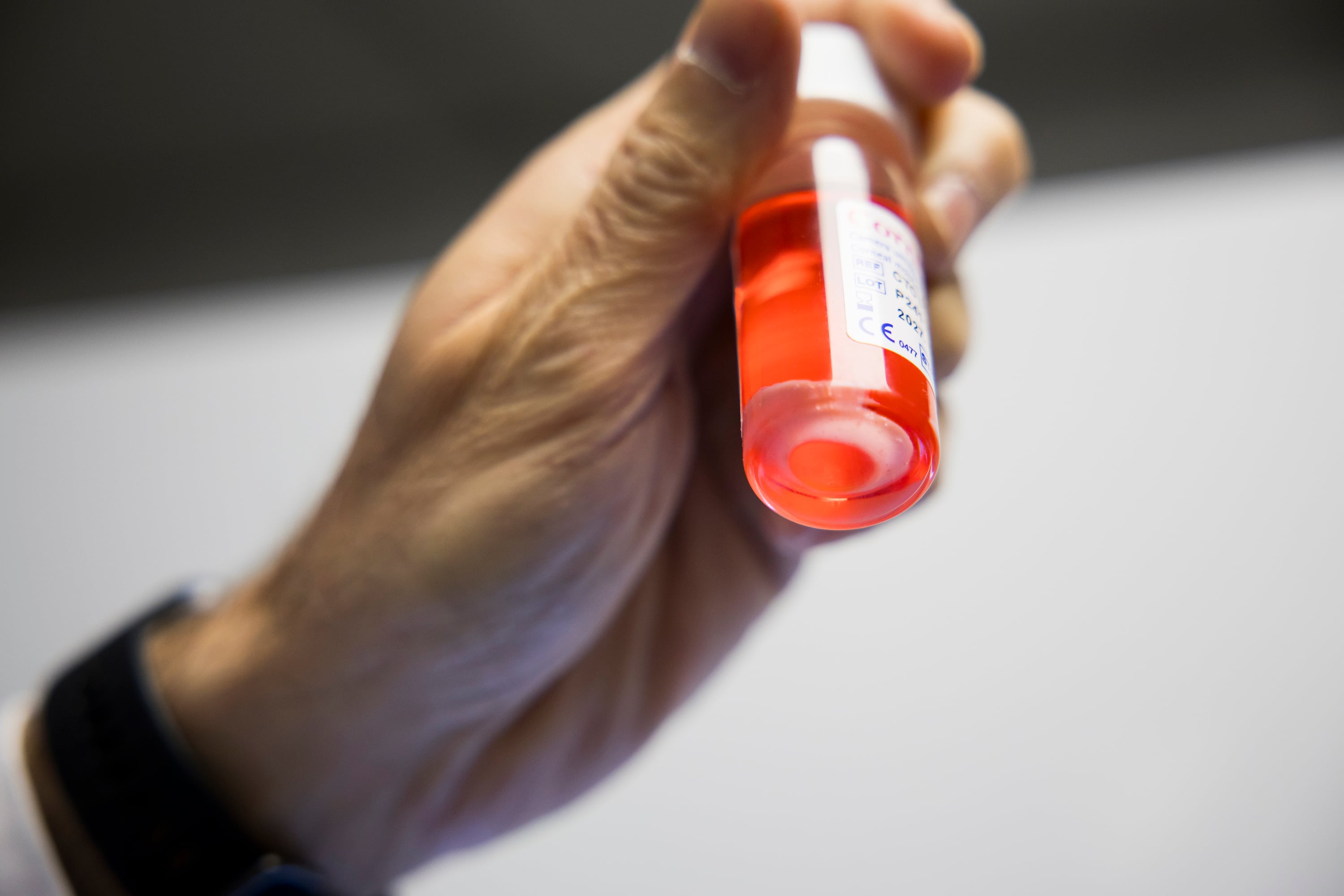 Córnea en cultivo, lista para ser enviada y utilizada en quirófano.