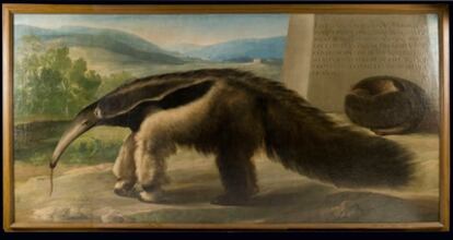 El cuadro, atribuido a Francisco de Goya, muestra al animal representado a tamaño natural de perfil.