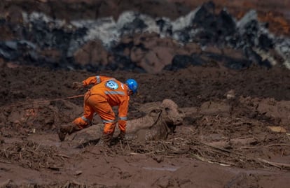 Um bombeiro tenta socorrer uma vaca atolada na lama que devastou parte de Brumadinho. Os animais resgatados estão sendo levados a um posto de Brumadinho e, de lá, são levados a uma fazenda da Vale, segundo reportagem do jornal 'O Estado de Minas'.