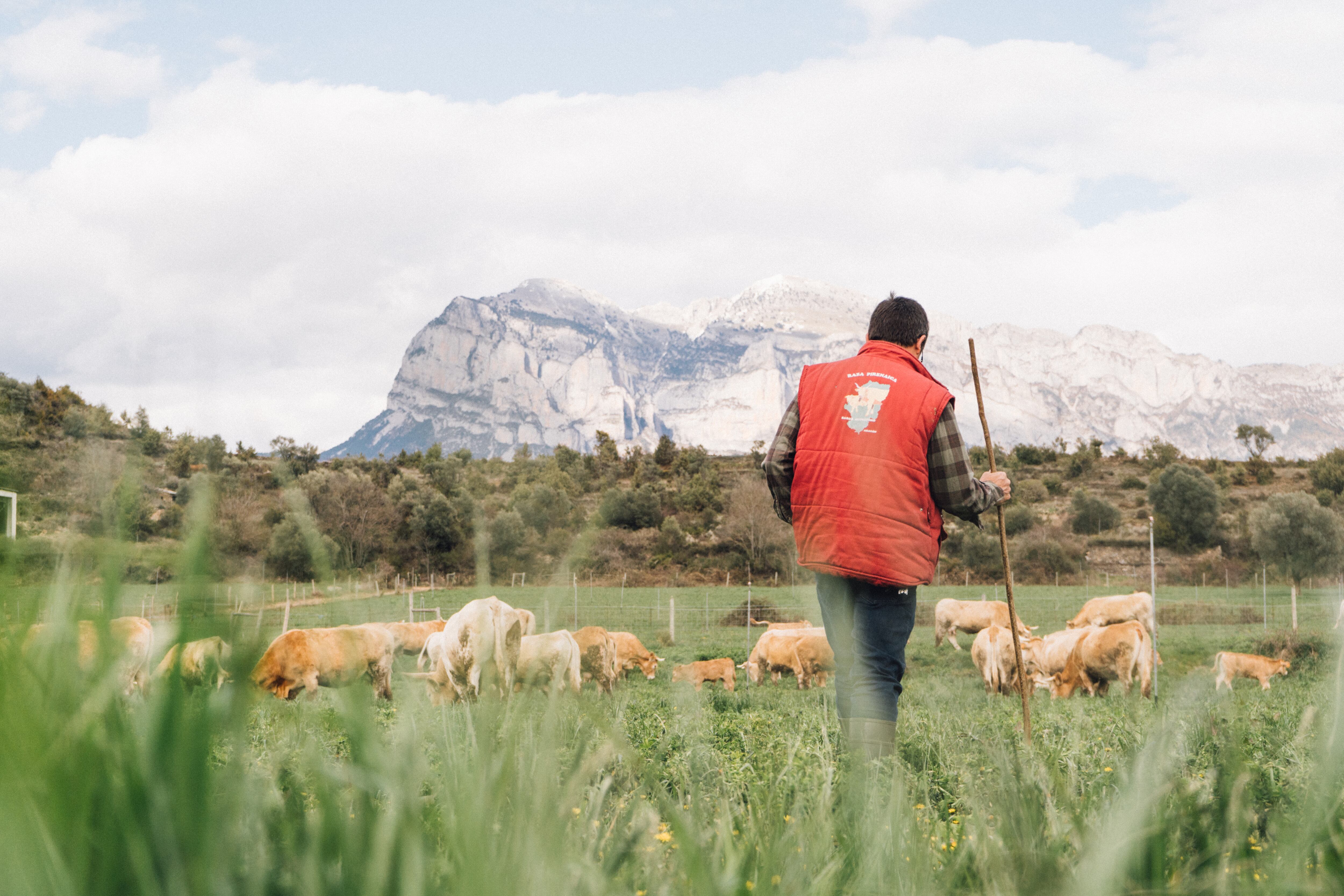 Cómo se relaciona lo que comemos con la despoblación rural y la red aragonesa que lo reivindica