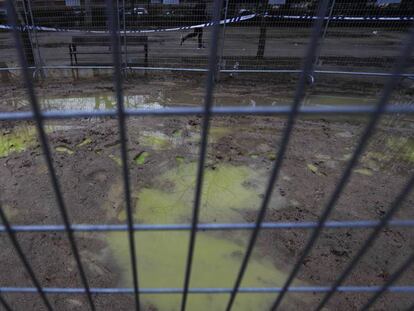 Manchas verdes, originadas en un vertido de anticongelante, en el parque de Berlín el sábado 25 de enero, dos semanas después de que fueran identificadas por los vecinos. 