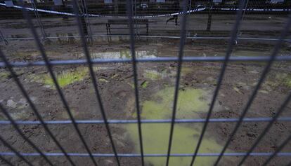 Manchas verdes, originadas en un vertido de anticongelante, en el parque de Berlín el sábado 25 de enero, dos semanas después de que fueran identificadas por los vecinos. 
