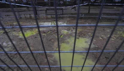 Manchas verdes, originadas en un vertido de anticongelante, en el parque de Berlín el sábado 25 de enero, dos semanas después de que fueran identificadas por los vecinos. 