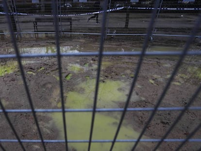 Manchas verdes, originadas en un vertido de anticongelante, en el parque de Berlín el sábado 25 de enero, dos semanas después de que fueran identificadas por los vecinos. 