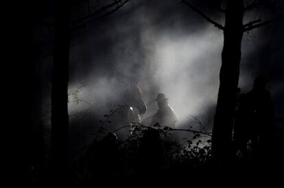 El actor Asier Etxeandia durante el rodaje de la película 'Sordo', en uno de los bosques de Requejo (Cantabria).