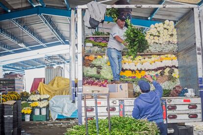 Al lado de la zona de hortalizas se encuentra la nave de las flores. Trescientos locales venden casi trescientas clases diferentes de flores y plantas. 