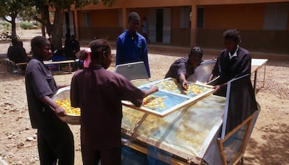 Un grupo de mujeres de Burkina Faso se entrena con un método para secar tomates que permite conservarlos y venderlos o consumirlos incluso fuera de temporada.