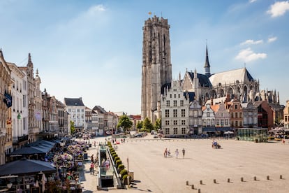 A caballo entre Bruselas y Amberes, la acogedora ciudad de Malinas rebosa de patrimonio y actividades para realizar en familia.
