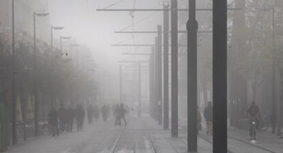 La espesa niebla se apodera de Sevilla y ocasionó que no se pudiera ver en algunas ocasiones más allá de un metro.