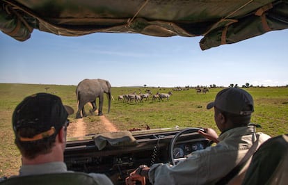 Un safari por la reserva nacional de Masái Mara, en Kenia.