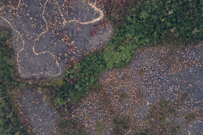 Un zona quemada del Parque Estatal Guajará-Mirím en Nova Mamoré (Brasil), en septiembre de 2024.