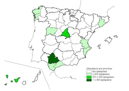 Distribución de cotorras de Kramer en España.