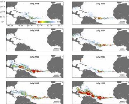 Evolução do novo mar de sargaços em julho, o mês de sua maior expansão.