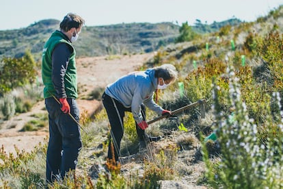 Hace más de 15 años DKV ya medía sus emisiones de de CO₂, y desde entonces ha conseguido mitigarlas en más de un 90,65%.