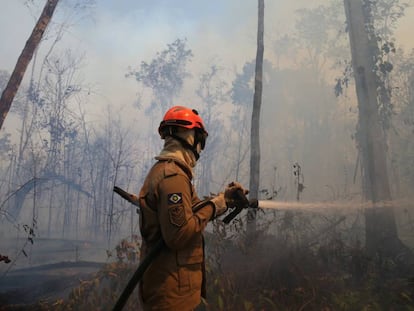 Bombeiro apaga fogo no Mato Grosso, na última quarta-feira.