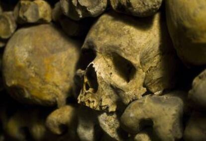 Cráneo humano en las catacumbas de París.