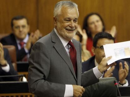 Jos&eacute; Antonio Gri&ntilde;&aacute;n, este jueves durante su intervenci&oacute;n en el Parlamento.