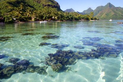 Arrecife en la isla de Moorea.