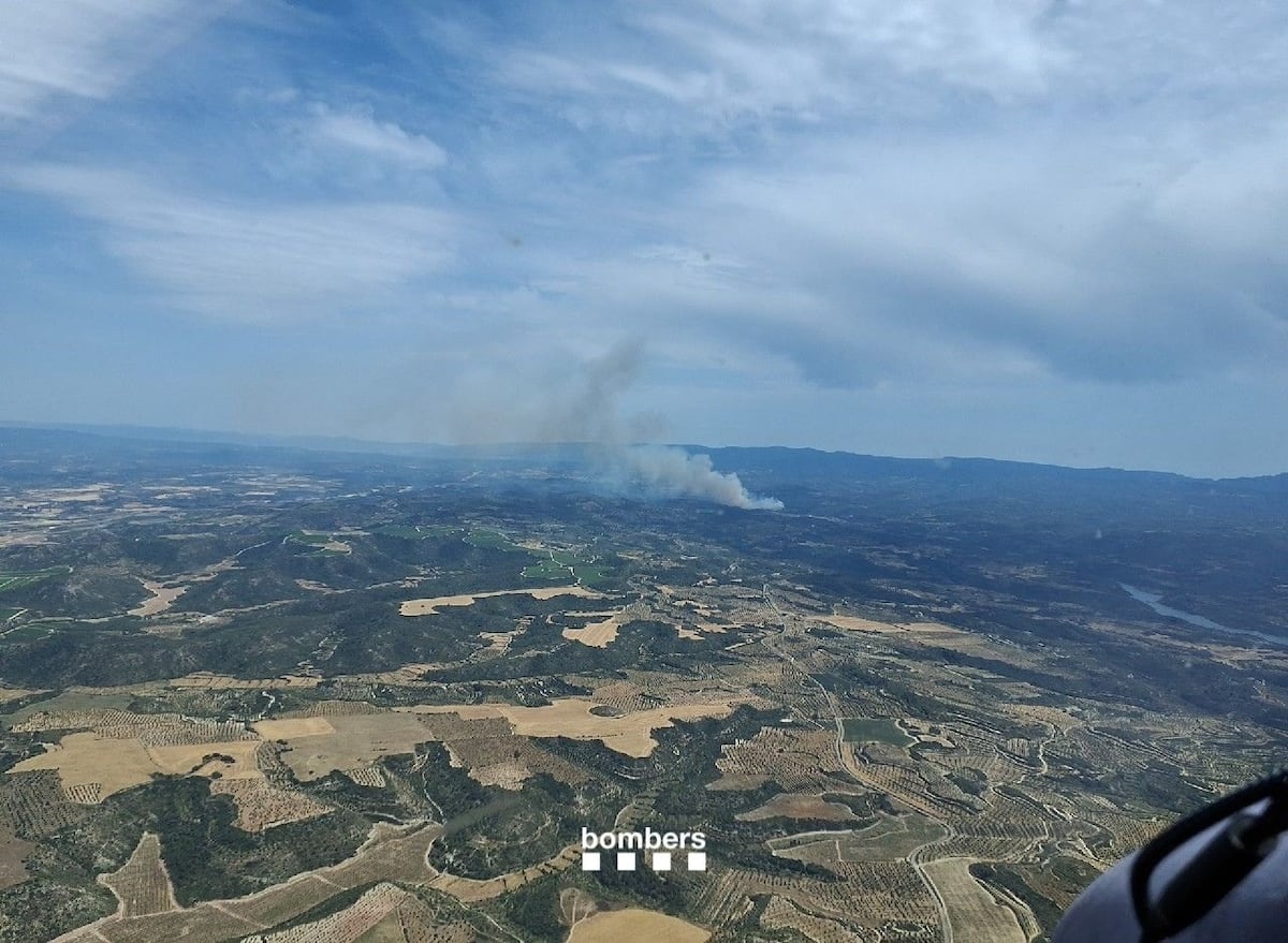 Los bomberos trabajan en la extinción de un segundo incendio en Lleida este fin de semana