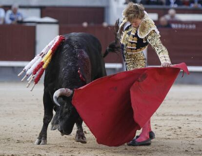 El novillero Rom&aacute;n Collado da un pase a uno de sus astados durante su faena.