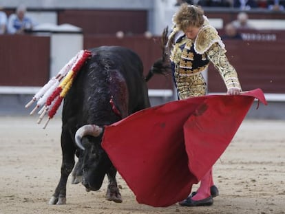 El novillero Rom&aacute;n Collado da un pase a uno de sus astados durante su faena.