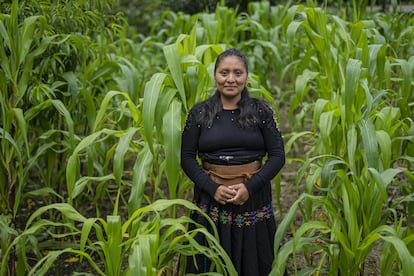 La artesana Gloria Luna Sántiz, cuenta que aprendió sus conocimientos sobre bordados de su madre, pese a los cambios en los colores y diseños, las técnicas textiles han pasado por generaciones en Chiapas.