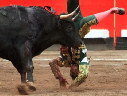 Juan José Padilla volteado por su segundo toro este viernes en la plaza de Vista Alegre. 