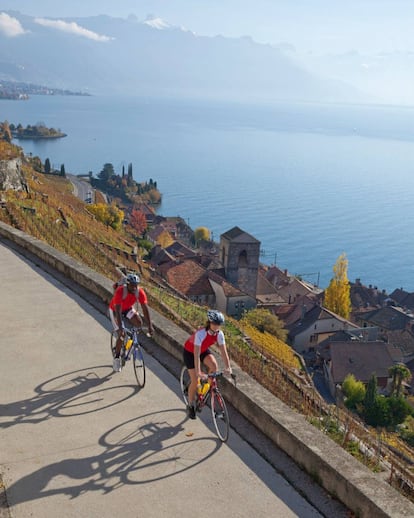 Con los Alpes franceses en el horizonte, viñedos que descienden hasta sus relucientes orillas y encantadores pueblos, dar una vuelta en torno al lago Lemán descubre algunos de los paisajes más sensacionales de Europa. Principalmente llano y apto para todos los públicos (familias incluidas), el schweizmobil.ch