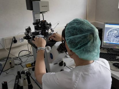 Una doctora observa una muestra de embrión en el Hospital Virgen del Rocío en Sevilla.