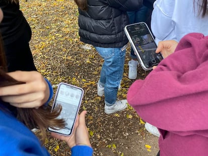 Un grupo de menores mira sus teléfonos móviles.