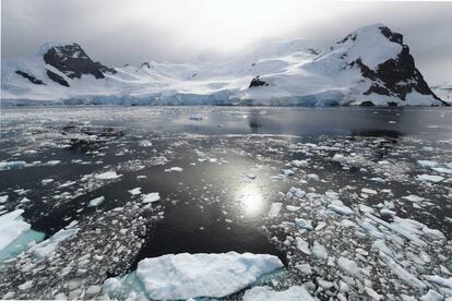 Bahía Orne Harbour, península antártica.