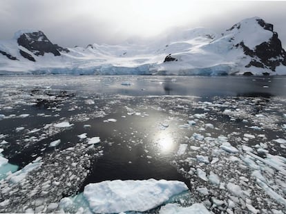 Bahía Orne Harbour, península antártica.